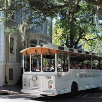 Tours & Sightseeing