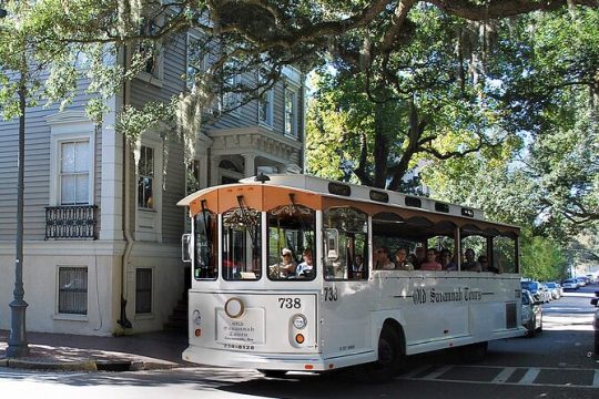 Veteran's Day in Savannah