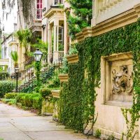Luxury Tours