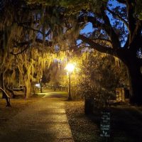 Night Tours