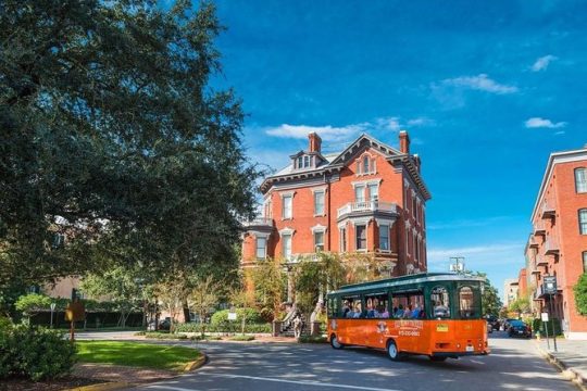 Halloween in Savannah