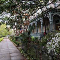 Private & Custom Tours