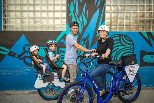 Asheville Historic Downtown Guided Electric Bike Tour with Scenic Views