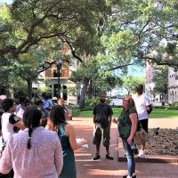 Full-day Tours