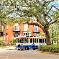 Trolley Tours