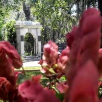 Holiday & Seasonal Tours