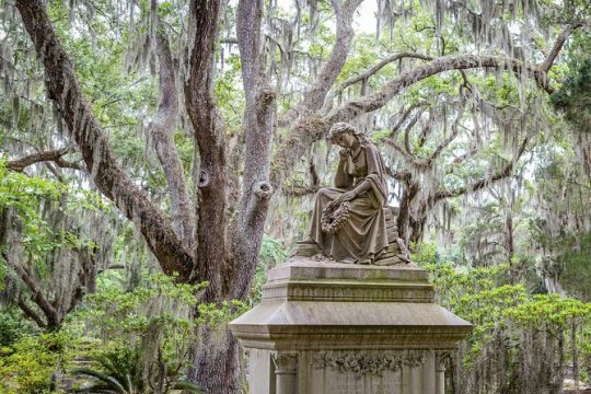 Wormsloe Historic Site & Bonaventure Cemetery Tour from Savannah