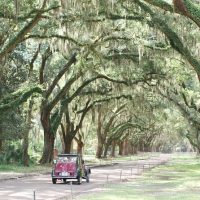 Private Sightseeing Tours
