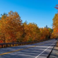 Multi-day Tours