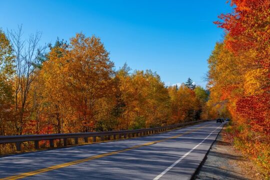 Fall Foliage Self-Guided Audio Tour Bundle on the East Coast