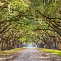 Cultural & Theme Tours