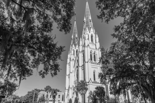 Private Photography Tour of Savannah squares