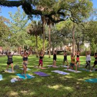 Classes & Workshops