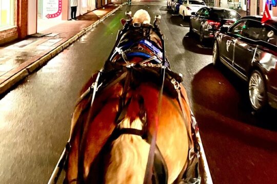 Ghost and Folklore Tour in Savannah Horse Drawn