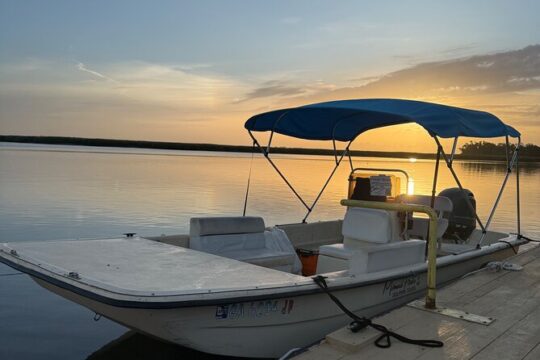 Private boat tour of Savannah’s waterways, dolphins, fossils more