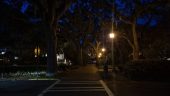 A walk through town with friends who also happen to be experts on Savannah.